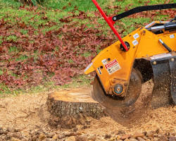 Stump Grinding