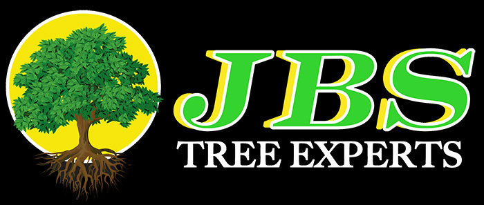 JBS Tree Experts logo